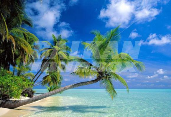 Почивка на Малдивите - Почивка в Рая