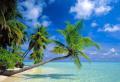 Почивка на Малдивите - Почивка в Рая