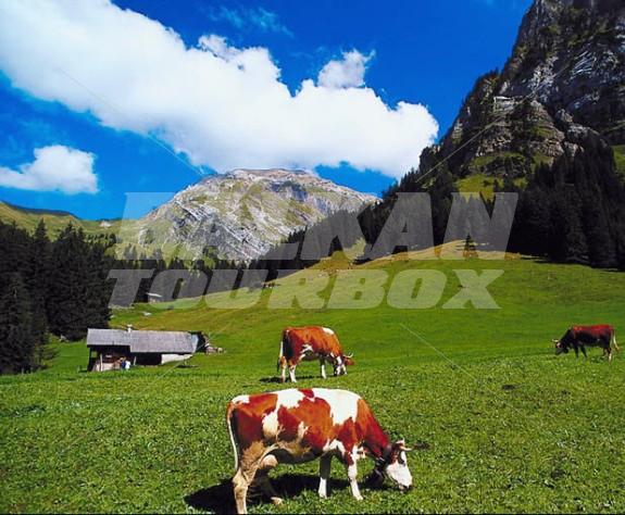 Holiday Switzerland Map 2024 BTX   Country 45 1 B 