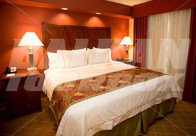 holiday in Residence Inn by Marriott Baton Rouge Towne Center at Cedar Lodge