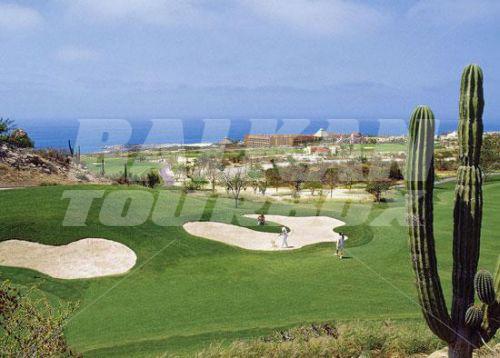 holiday in Melia Cabo Real All Inclusive Beach and Golf Resort