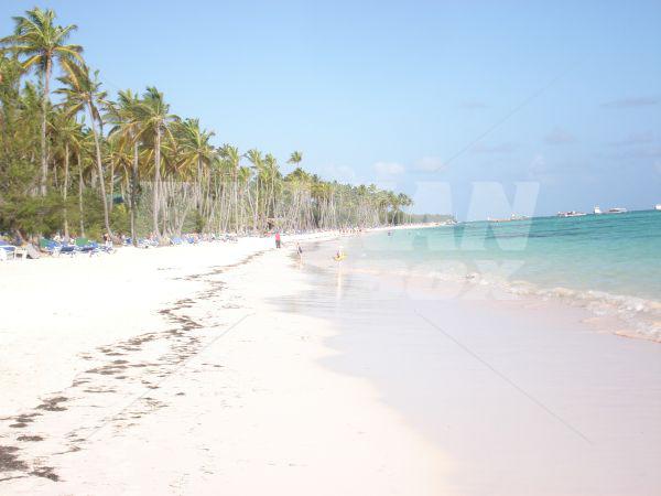 holiday in Barcelo Bavaro Beach