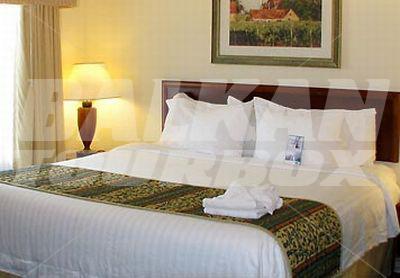 holiday in Residence Inn by Marriott Orlando Convention Center