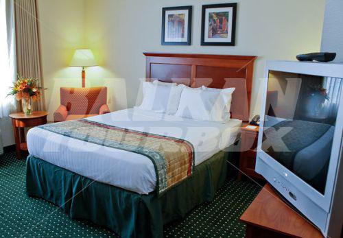 holiday in TownePlace Suites by Marriott Sacramento Cal Expo