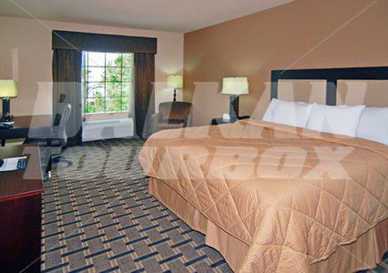 holiday in Comfort Inn & Suites