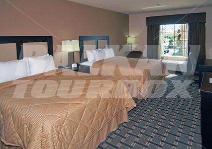 holiday in Comfort Inn & Suites