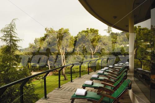 holiday in Carmel Forest Spa Resort