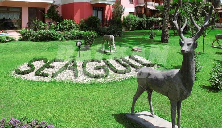 holiday in Seagull Hotel