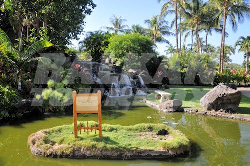 holiday in The Fairmont Orchid, Hawaii