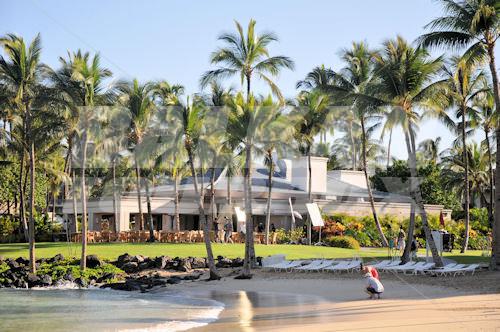 holiday in The Fairmont Orchid, Hawaii