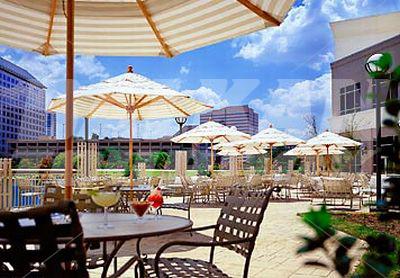 holiday in Dallas Marriott Las Colinas