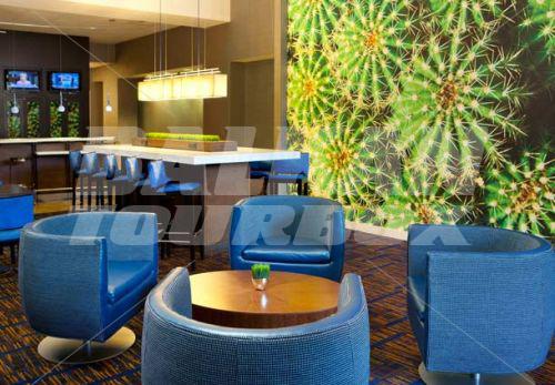 holiday in Courtyard by Marriott Houston Downtown /Convention Center