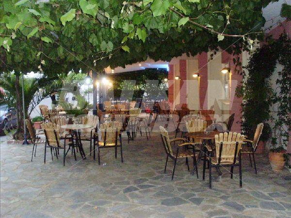 holiday in Alexandros Hotel