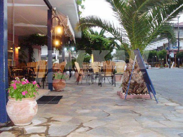 holiday in Alexandros Hotel