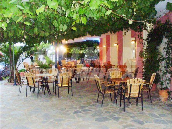 holiday in Alexandros Hotel