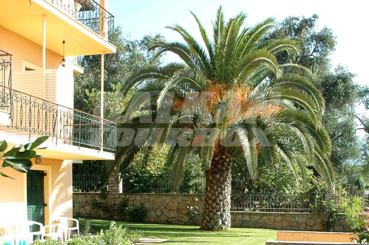 holiday in Villa Yannis Apartments and Suites (Yiannis)