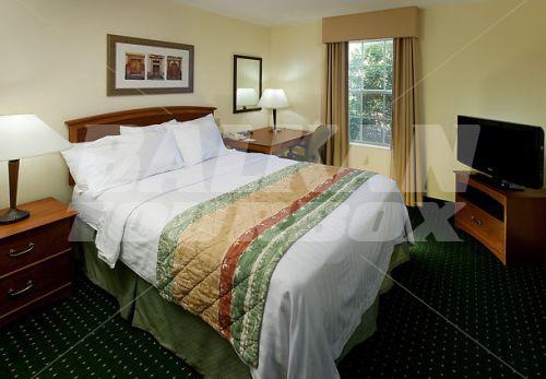 holiday in TownePlace Suites by Marriott Arlington Near Six Flags