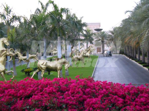 holiday in Al Qasr