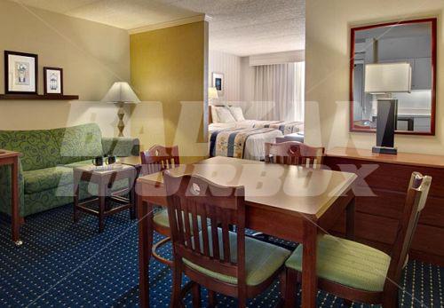 holiday in SpringHill Suites by Marriott Chicago Elmhurst/Oakbrook Area