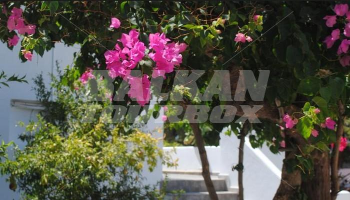 holiday in Apollonia Hotel Apartments