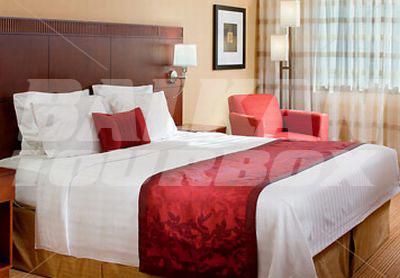 holiday in Courtyard by Marriott Arlington Rosslyn