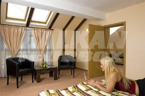 почивка в Ambient Pension Brasov