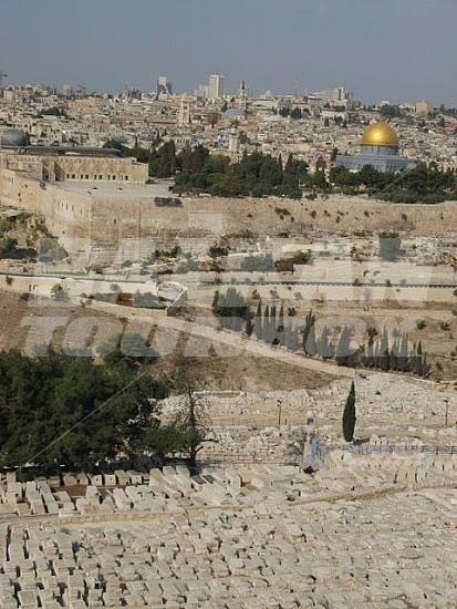 holiday in Mount of Olives