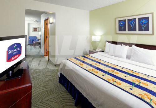 holiday in SpringHill Suites by Marriott Houston Medical Center/Reliant Park