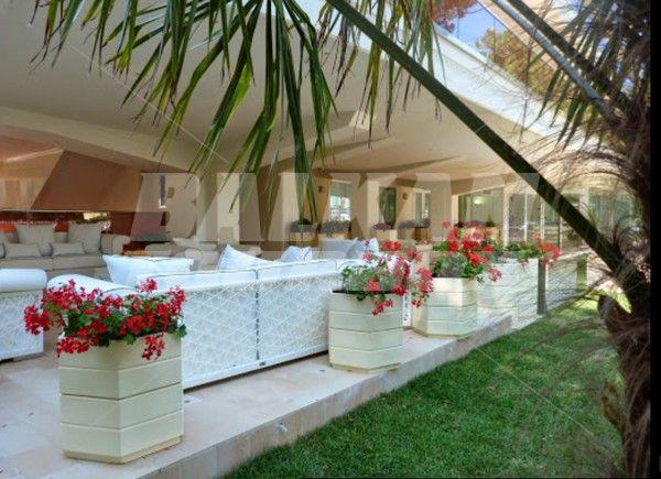 holiday in Boutique Paradiso Hotel