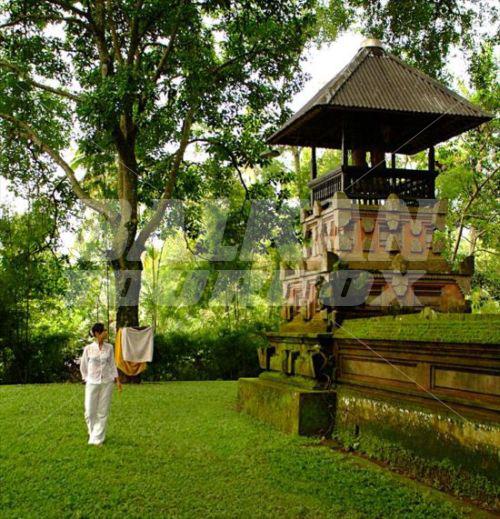 holiday in Kupu Kupu Barong Villas and Tree Spa