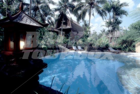 holiday in Kupu Kupu Barong Villas and Tree Spa