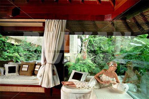 holiday in Kupu Kupu Barong Villas and Tree Spa