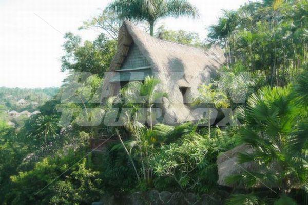 holiday in Kupu Kupu Barong Villas and Tree Spa