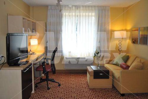 holiday in TownePlace Suites by Marriott Albany Downtown/Medical Center