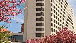 Hotel Tysons Corner Marriott, , Washington - DC