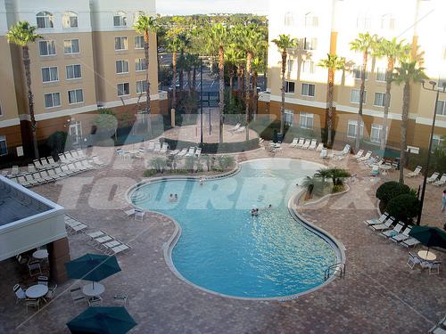 holiday in SpringHill Suites by Marriott Orlando at SeaWorld