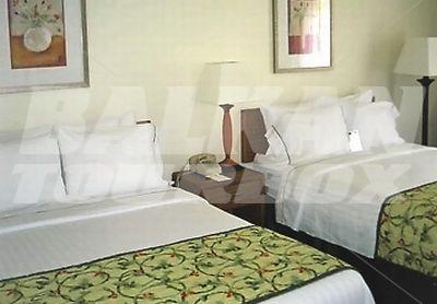 holiday in Fairfield Inn by Marriott Arlington Near Six Flags