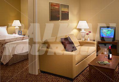 holiday in TownePlace Suites by Marriott Chicago Lombard