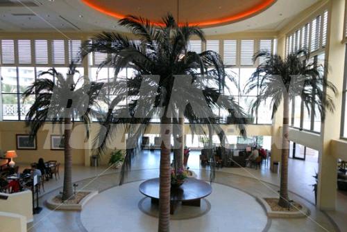 holiday in Sheraton Nassau Beach Resort and Casino