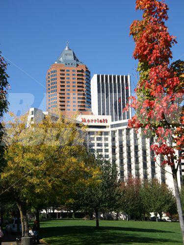 holiday in Portland Marriott Downtown Waterfront