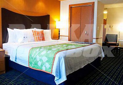 holiday in Fairfield Inn & Suites by Marriott Tampa Fairgrounds/Casino