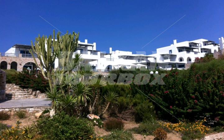 holiday in Paros Agnanti