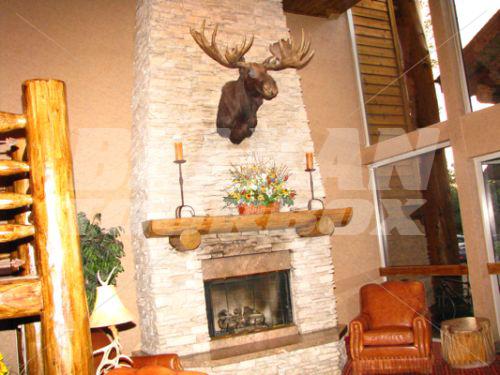 holiday in Best Western Plus The Lodge at Jackson Hole