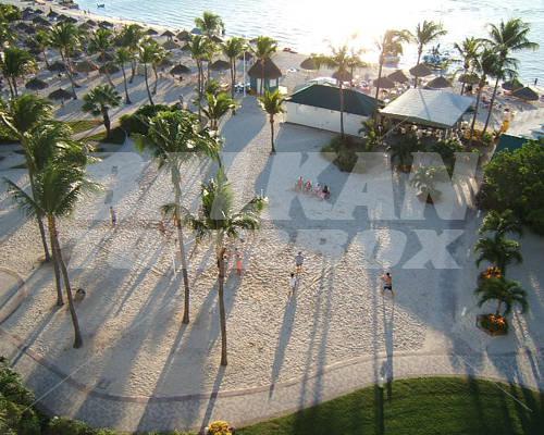 holiday in Aruba Marriott Resort & Stellaris Casino