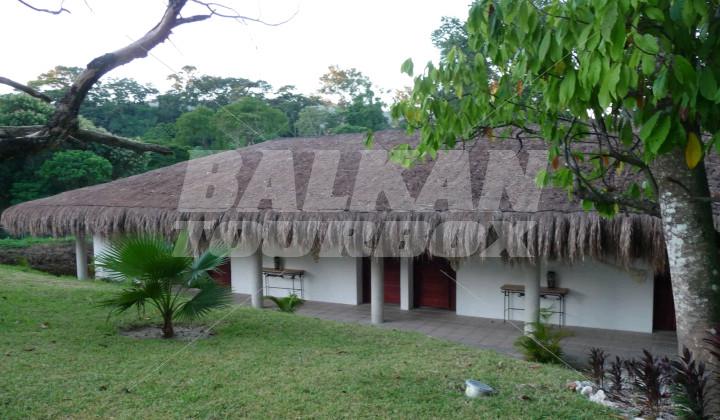 holiday in Villa Mercedes Palenque