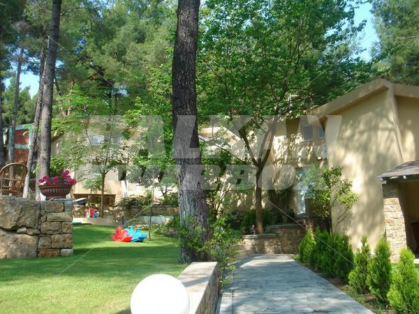 holiday in Villas Stamatiadis Sani Cape