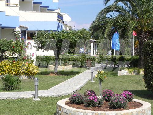 holiday in Albatros