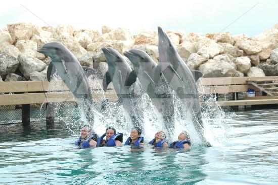 holiday in Occidental Grant Xcaret