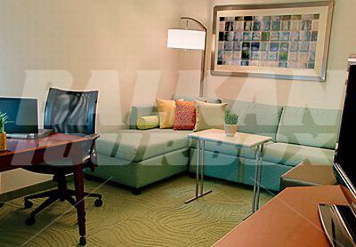 holiday in SpringHill Suites by Marriott Tampa Westshore Airport