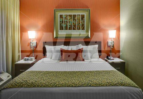 holiday in SpringHill Suites by Marriott Memphis Downtown